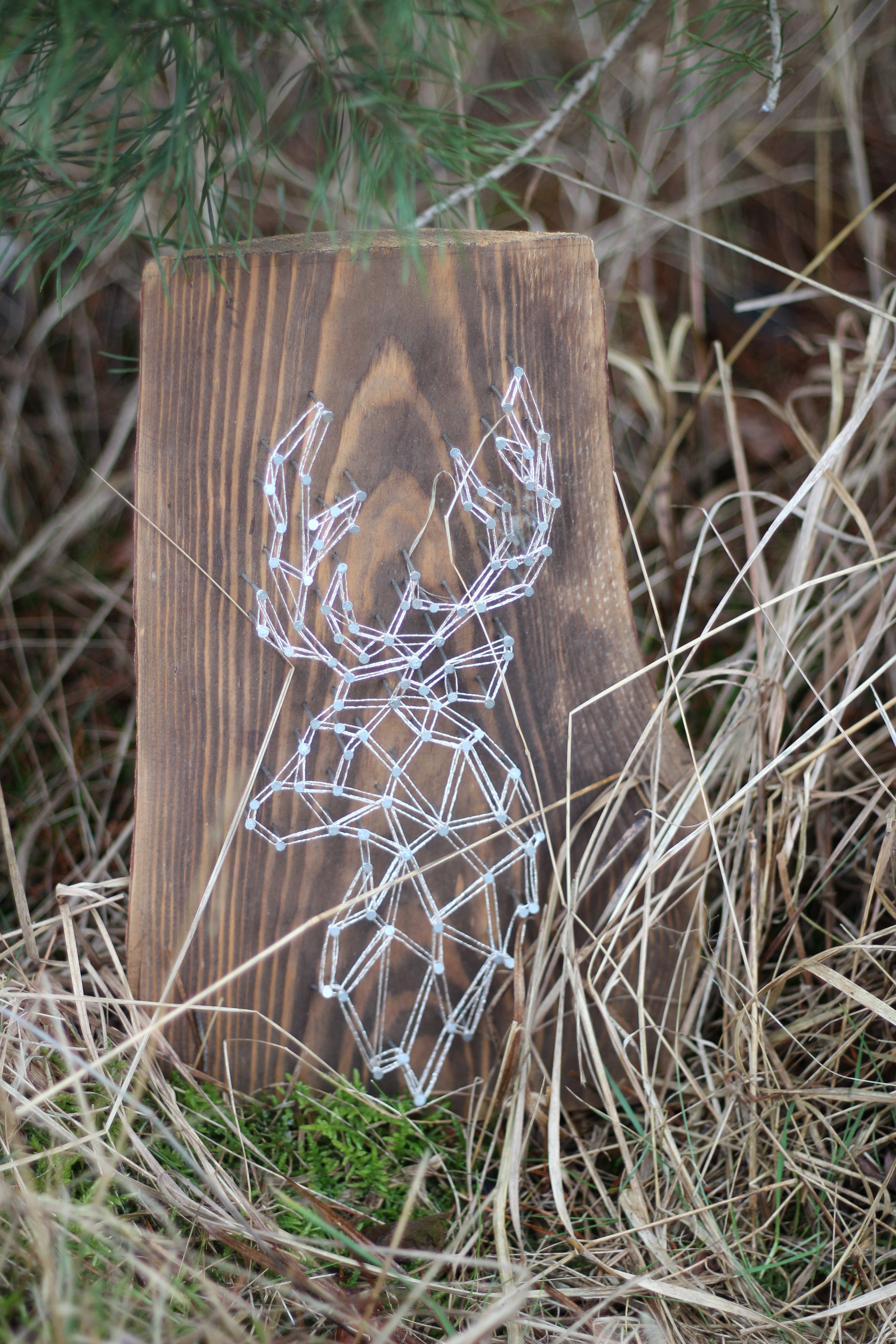 Obraz String Art - Wilk i jeleń