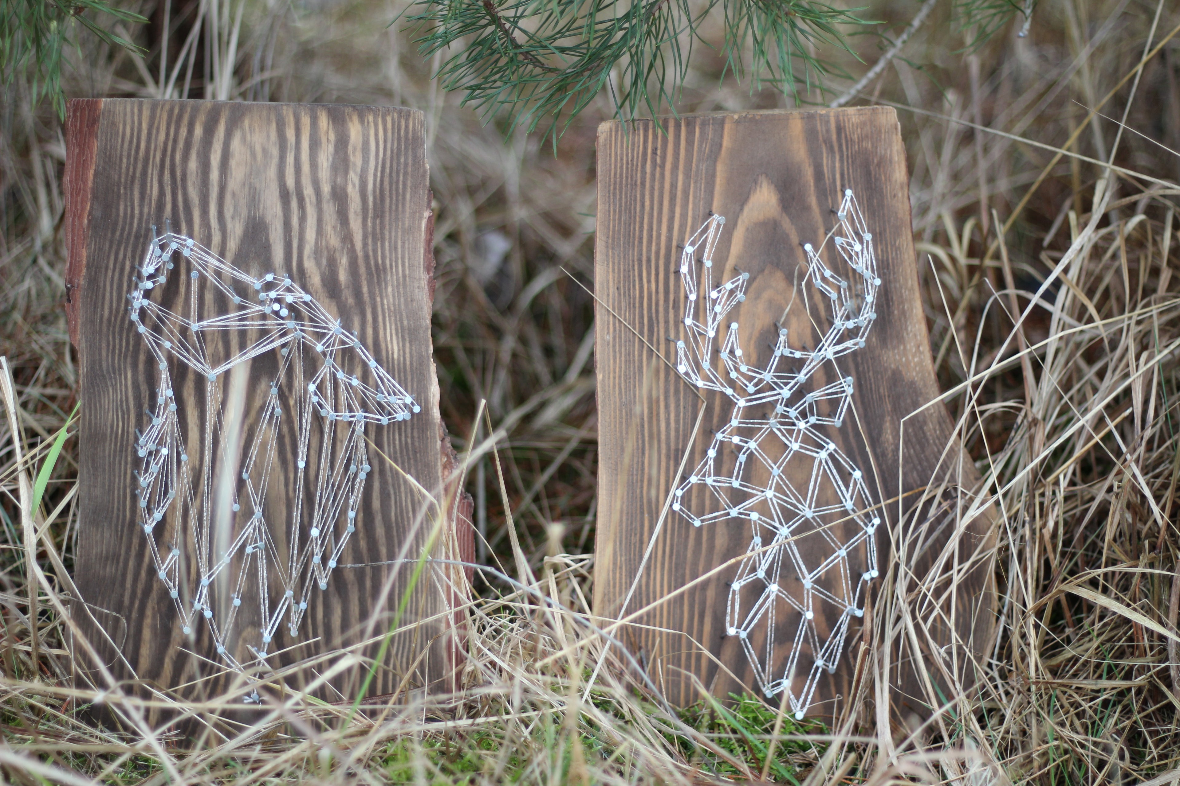 Obraz String Art - Wilk i jeleń