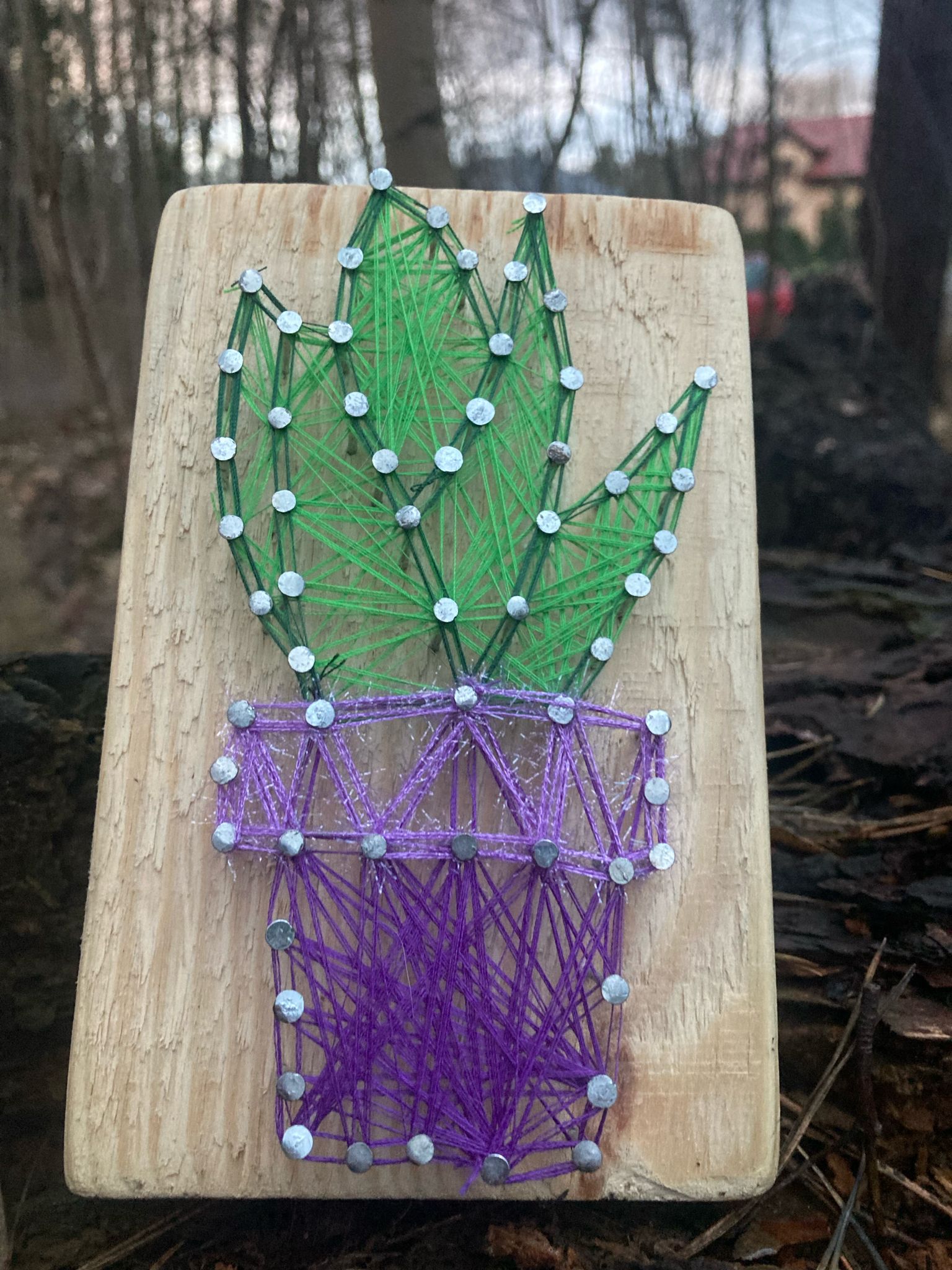 Obraz String Art